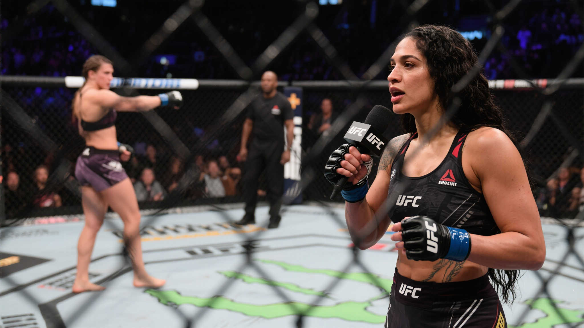 在过去的几 在过去的几