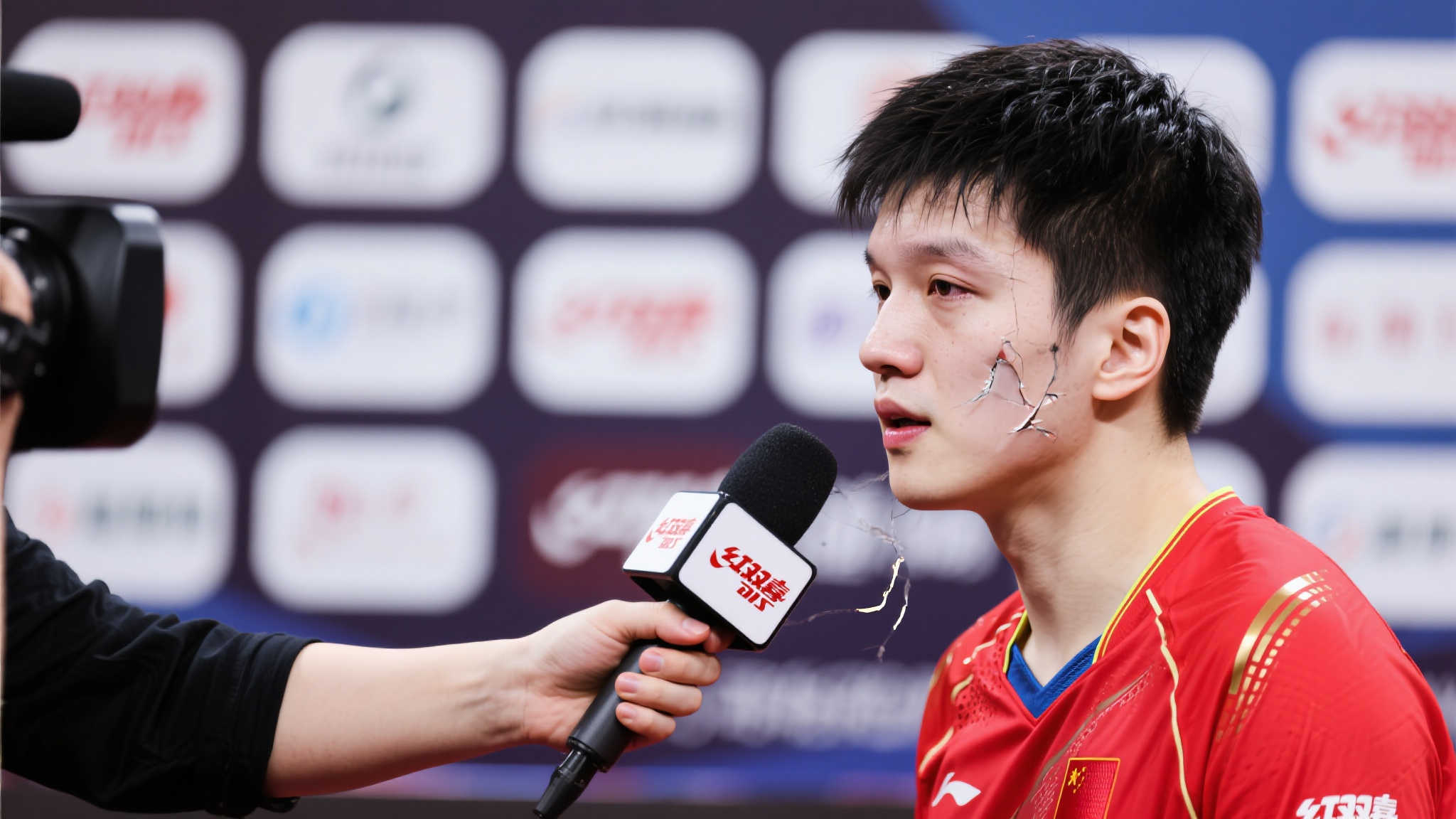 的最高荣誉 的最高荣誉