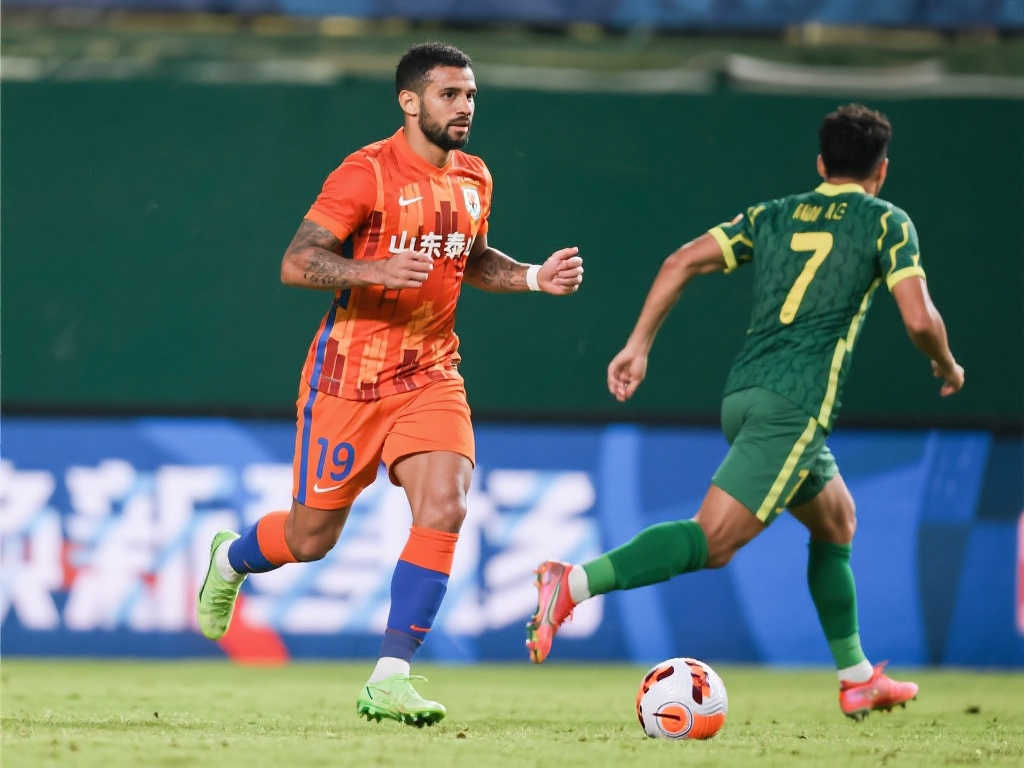 上诉委员会 上诉委员会