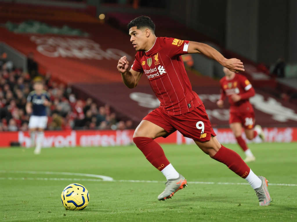 竞争者中占 竞争者中占