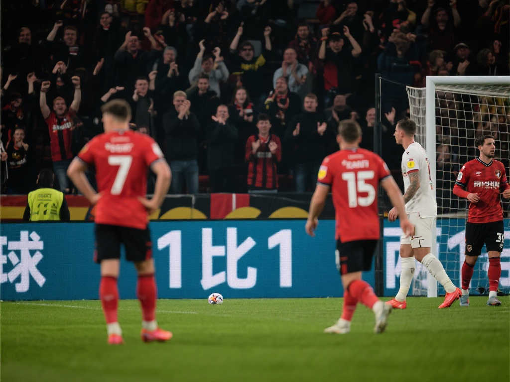 更对整个网 更对整个网