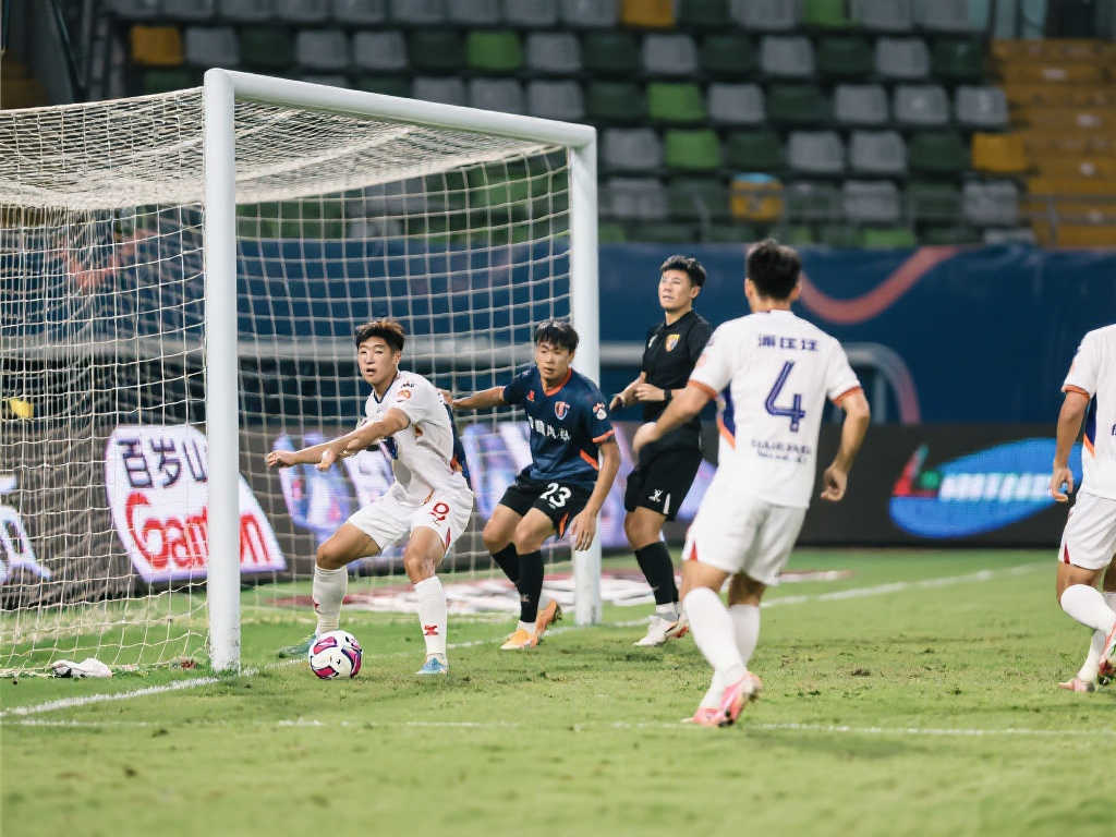 他們可能會 他們可能會